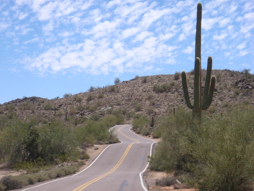 Touring Cyclists View.